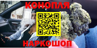 прущие крисы Кандалакша
