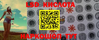 прущие крисы Кандалакша