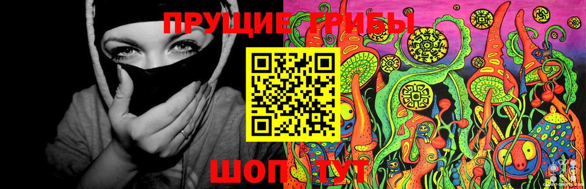 Галлюциногенные грибы GOLDEN TEACHER Котлас