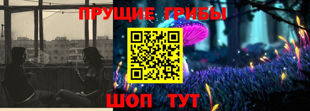 Псилоцибиновые грибы GOLDEN TEACHER  Псилоцибиновые грибы мицелий  Котлас  Вход с VPN 